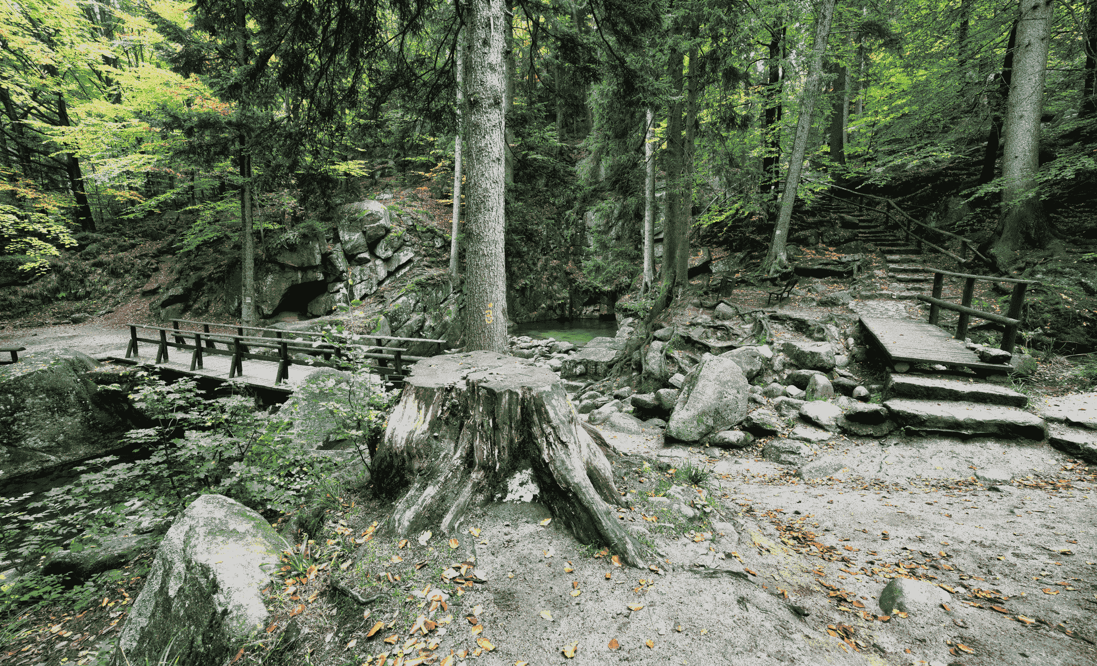 Karkonoski Park Narodowy