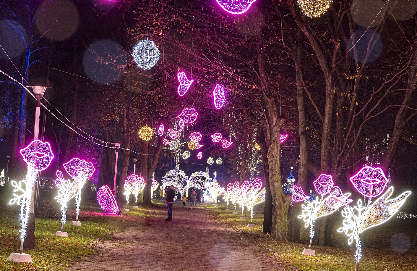 katowice