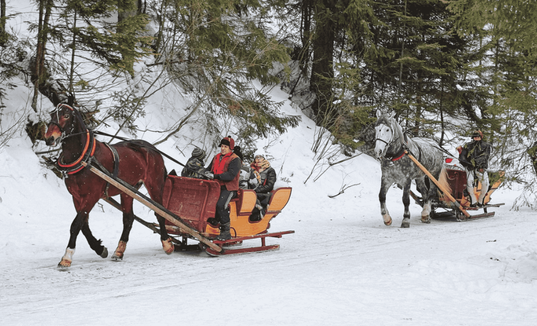 kuligi Zakopane