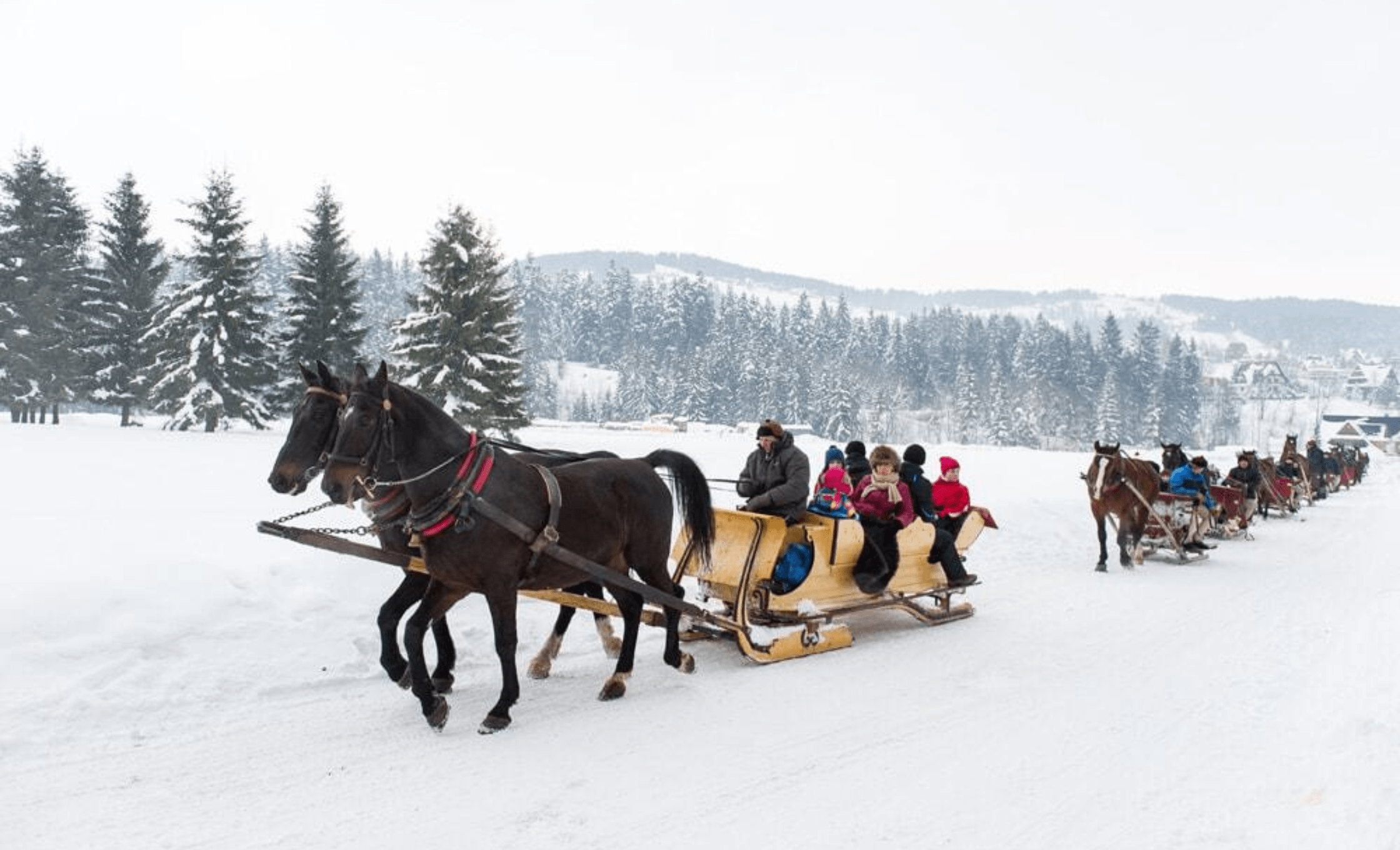 Kuligi.pl Zakopane